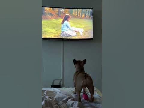 Смотрим телек 📺 - YouTube