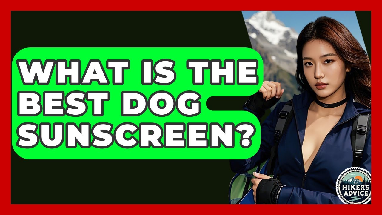 What Is The Best Dog Sunscreen? - The Hiker's Advice