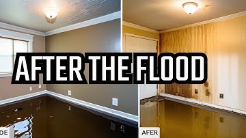 Mold After Flood: How to Prevent and Restore Your Home