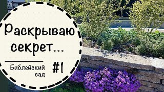 Проект, который я скрывала 2,5 года !