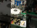 MTW Glass bottle filling and capping machine with aluminum caps.玻璃瓶铝盖灌旋一体