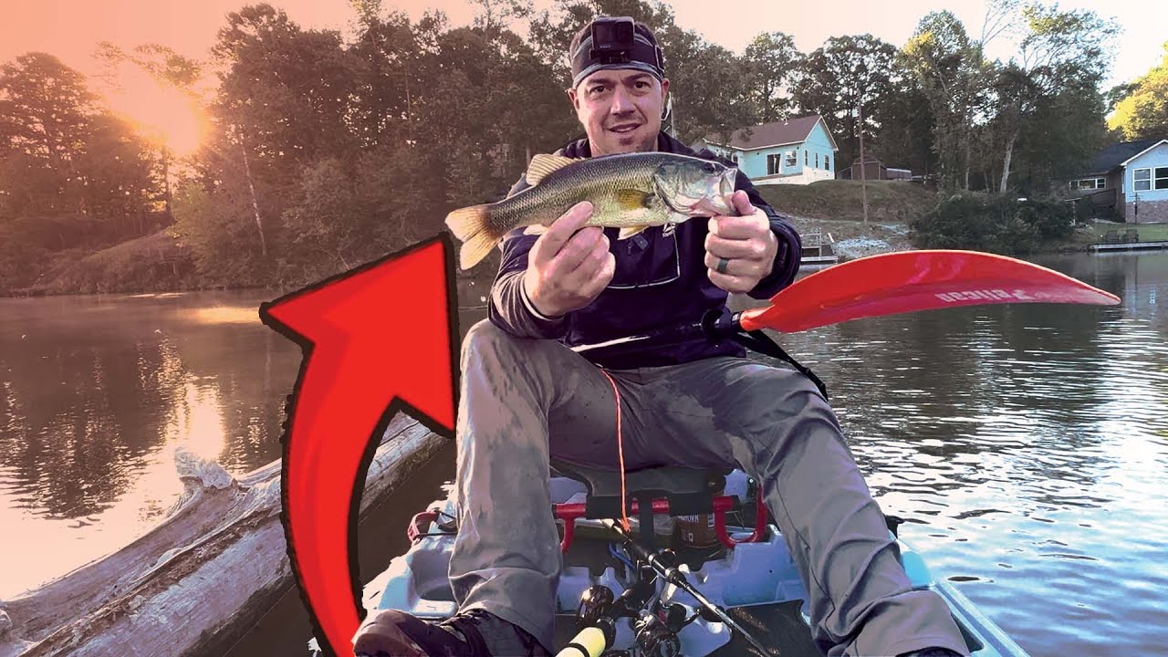 Bass Fishing Challenge: Can I Catch a 3lb Bass?