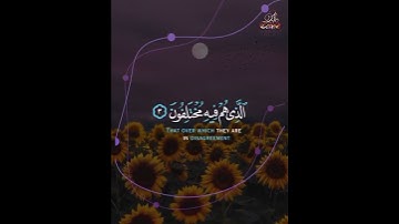 تلاوة من سورة النبأ: عَمَّ يَتَسَاءَلُونَ| 🖋 صهيب المقطعي|  #اكسبلور #المصحف #duet #الرحمن #لايك