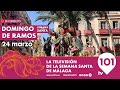  en directo  domingo de ramos  semana santa de mlaga  24 marzo 2024