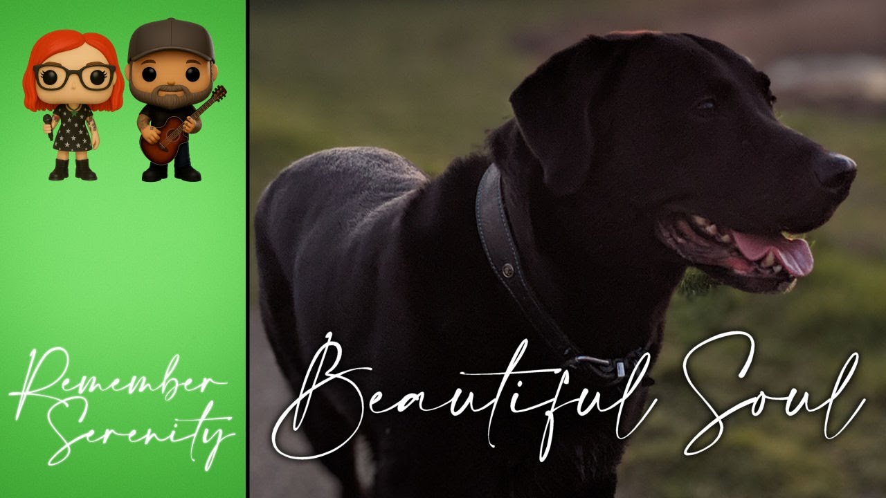 Remember Serenity - Beautiful Soul (Music Video) | Acoustic Folk Rock