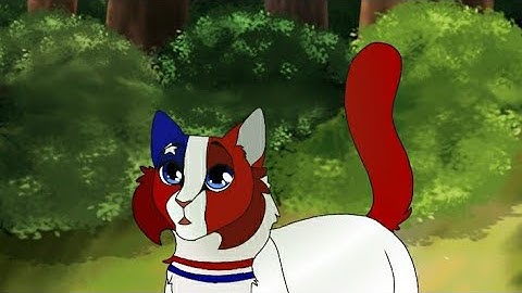 Washing machine heart MAP part6