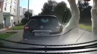 Козы атакуют парковку в Бутово (Москва)