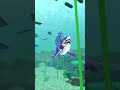 He is not friendly #mrbeast #funny #roblox #sharkgo #memes #vr #fypシ