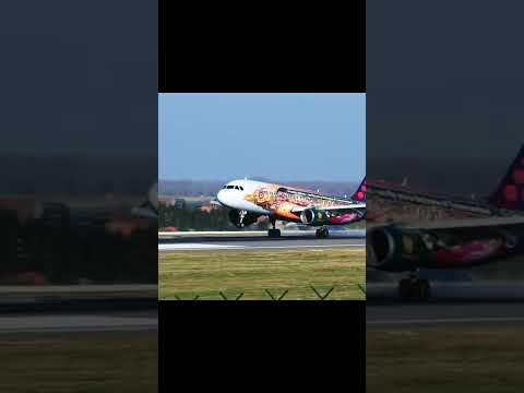 Brussels Airlines A320 wonderful Tomorrowland livery landing