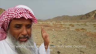 Abdul Razaq Al Aduani on Desertification in Al Baydha