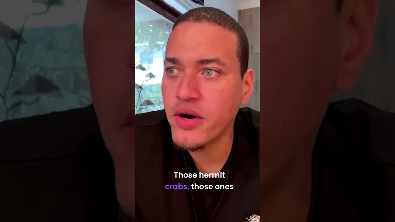 Survivor: Australia v The World’s Rob Bentele faces the Beyond Tribal Quick Fire round 