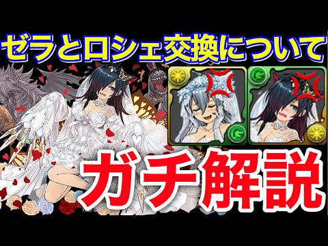 引くな 花嫁ロシェとゼラの交換についてとジューンブライドガチャについて圧倒的解説 パズドラ実況 Youtube