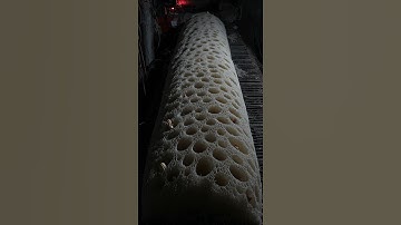 Trypophobia warning: It’s still moving - AI Horror, Horror Short