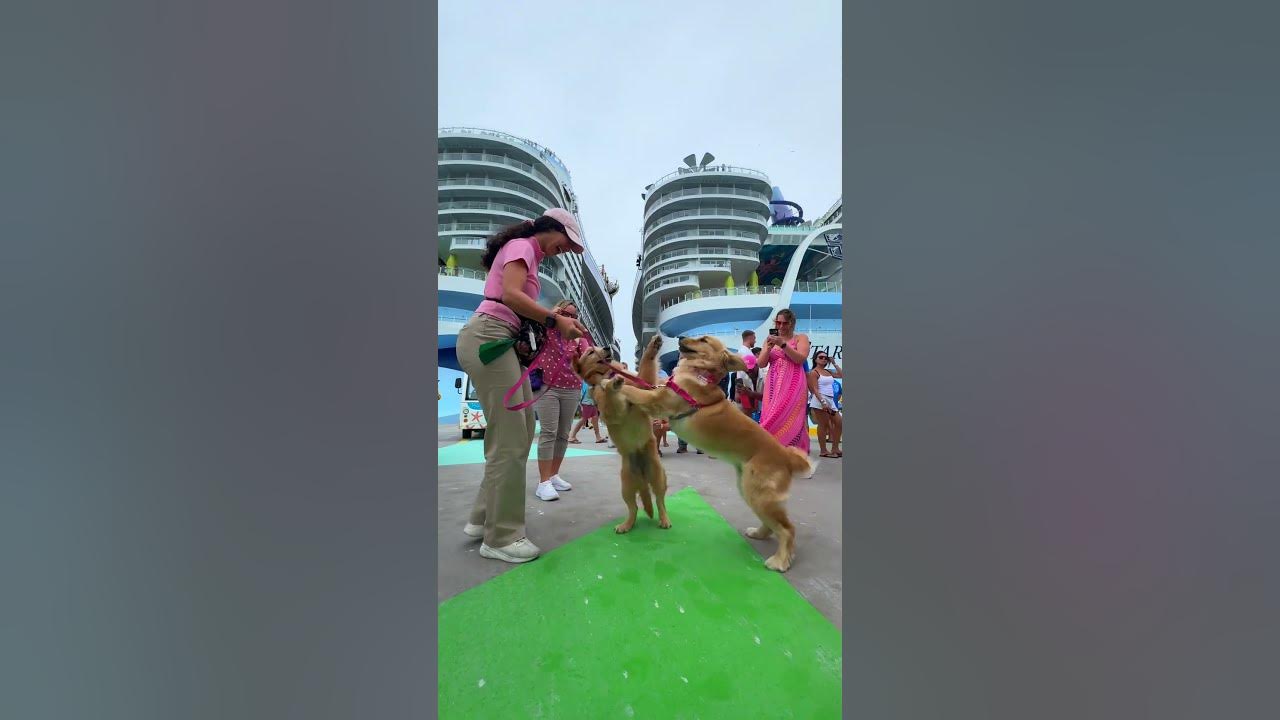 See the two LARGEST cruise ships in the world coming together for the first time! 🤯🏆