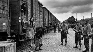 “Please Stop — I’m Infected!” | German Female POWs Were Shocked by What U.S. Soldiers Did Next