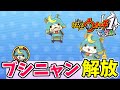 【妖怪ウォッチ1 スマホ】ブシニャン解放!!入手方法を解説 yo-kai watch 1