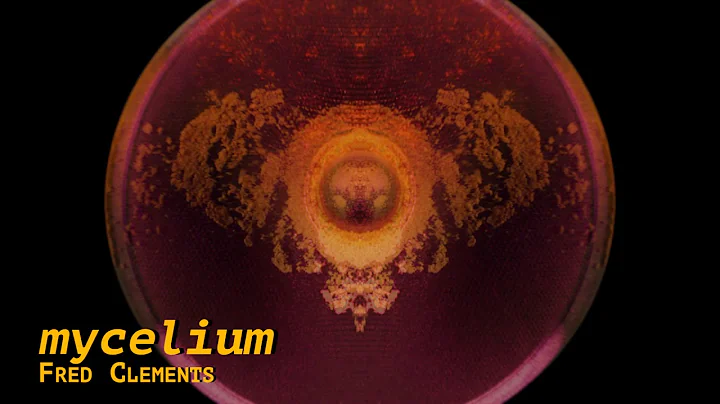 Mycelium -  Fred Clements Video Test