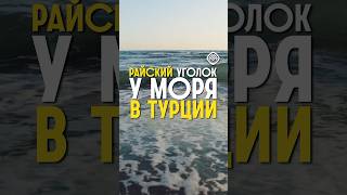 жизнь в Алании #турция #алания #аланияпродажаквартир #переездвтурцию #турецкаясемья