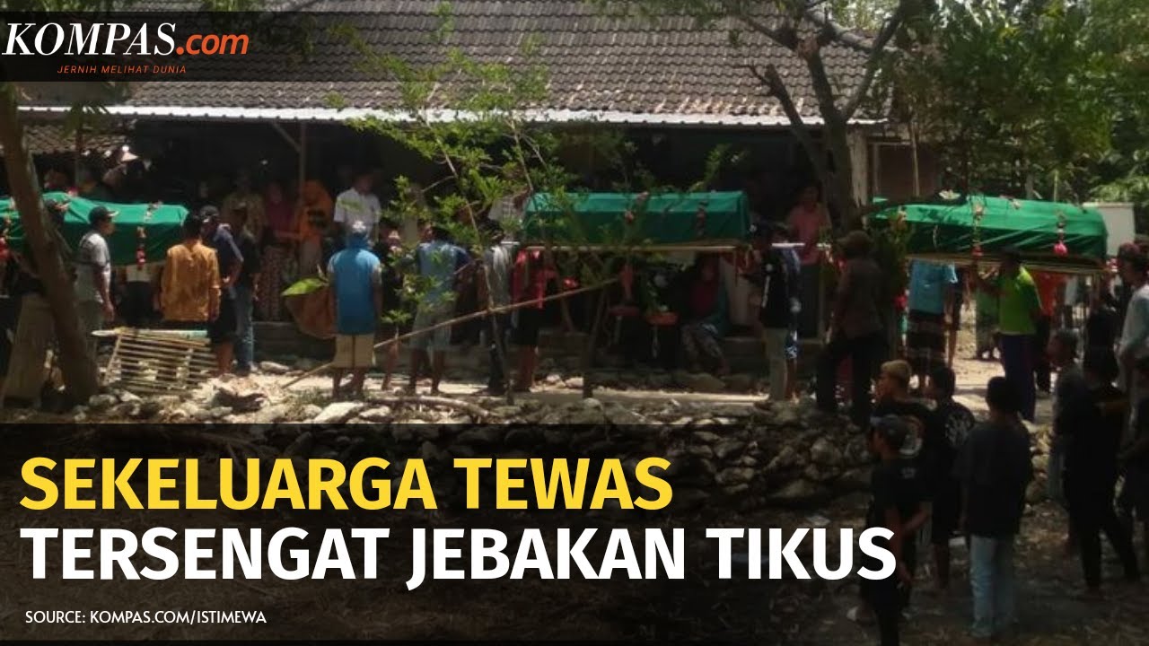 Suami Istri Dan Dua Anak Di Bojonegoro Tewas Tersengat Jebakan Tikus Youtube