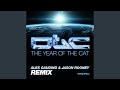 Miniature de la vidéo de la chanson The Year Of The Cat (Alex Gaudino And Jason Rooney Radio Remix)