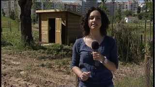 Parque Hortícola da Quinta da Granja - Reportagem