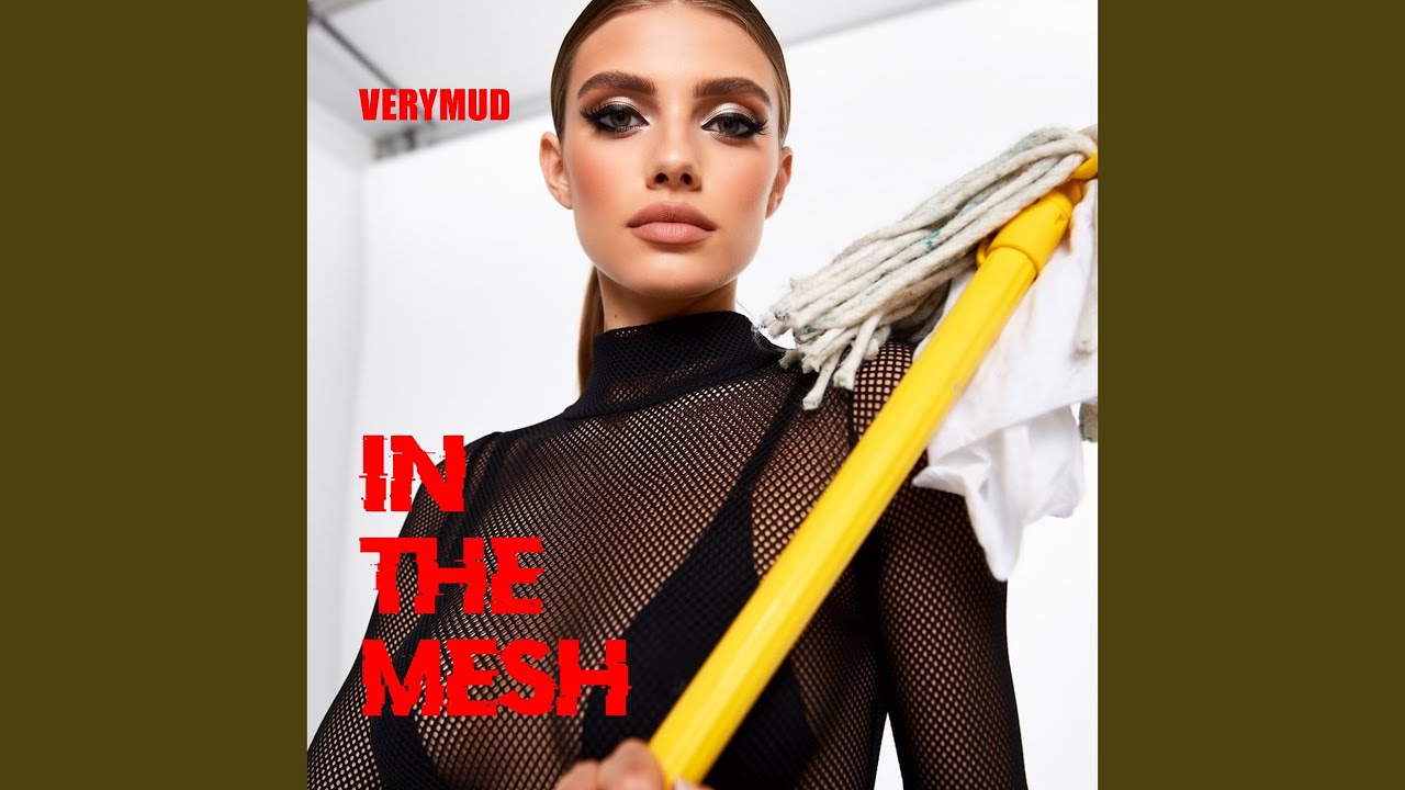 In the Mesh