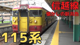 【115系】JR信越線 快速新潟行きが東三条駅から発車