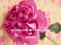 LE RAYON ROSE