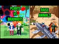 PLANTS &amp; RAISE ANIMALS