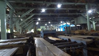 Wood Log Sawing Process Chatham Saw Mill, Port Blair, India