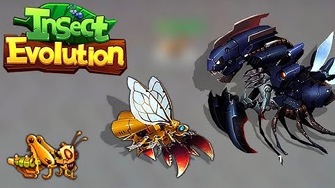 Insect Evolution - Gameplay Walkthrough Part 1077 (Android,iOS)