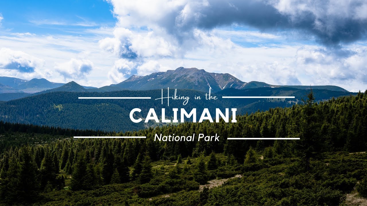 2 DAYS IN THE WILDERNESS IN CALIMANI NATIONAL PARK  •  CAMPING NEAR THE PEAK [4K]  •  ASMR