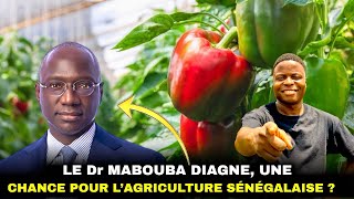 Le ministre de l’agriculture du Senegal est il une chance pour ce pays ?