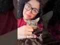 Amo A Los Gatitos | Sandy Bella