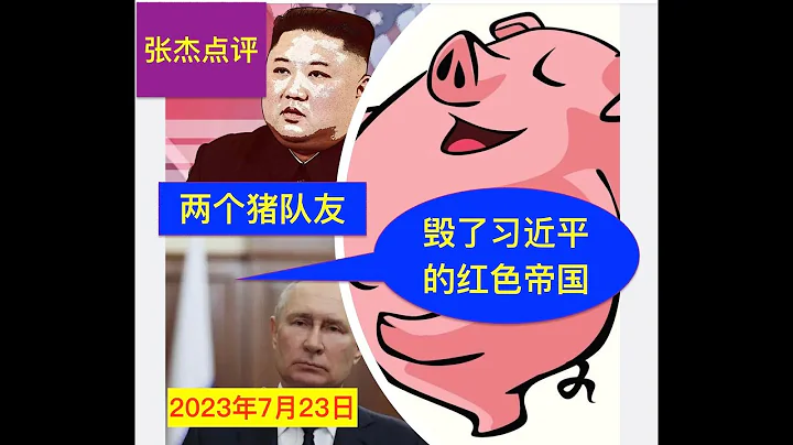 军委副主席张又侠去哪里了？二个猪队友毁了习的红色帝国梦 - 天天要闻