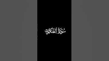 القارئ محمد اللحيدان.🖤