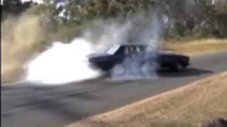 When Bogans Attack -Part Two
