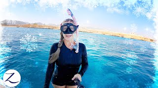 WINTER IN EGYPT? (it's not what you think!) Red Sea Sailing (Ep 222)