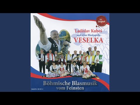 Musikanten spielt's auf