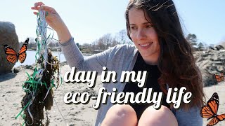 Day in my island life // trash picking, urban garden vlog