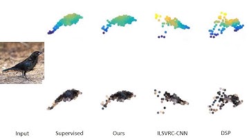 Single-view 3D Reconstruction