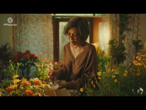 Numcha - afterglow (Official Video)