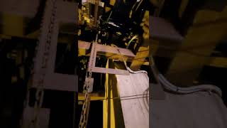 Ave Maria di Lourdes nella vigilia dell'Immacolata