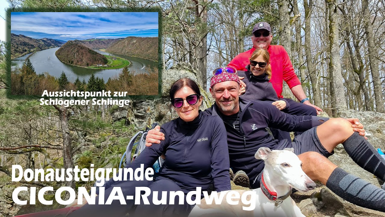 Wandern OÖ Donausteigrunde - CICONIA-Rundweg - Schlögen