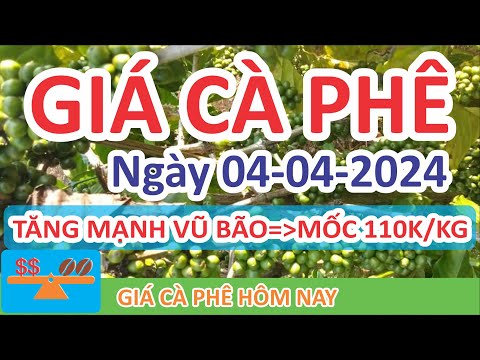 Giá cà phê hôm nay ngày 04/04/2024 