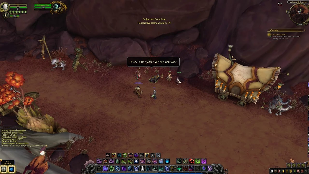 WoW quest - A Balm to Calm