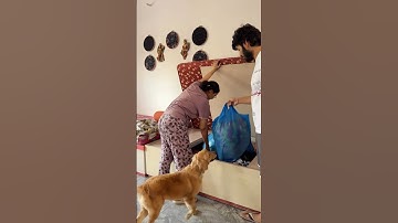 Mini vlog🥰 #ytshorts #reels #trending #youtube shorts #explore #trendingshorts #funny #minivlog