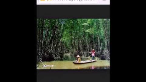 Tôi Yêu Cà Mau.  Bình Cm