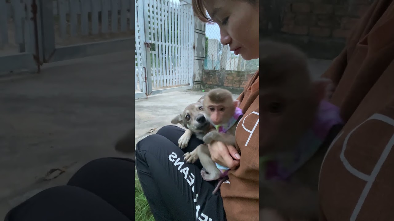 Waiting for Miu with the puppy🙈🥰 