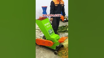 Tối Ưu Hóa Chăn Nuôi Với Máy Băm Cỏ 6TA-SP – Nhanh Hơn, Hiệu Quả Hơn, Tiết Kiệm Hơn